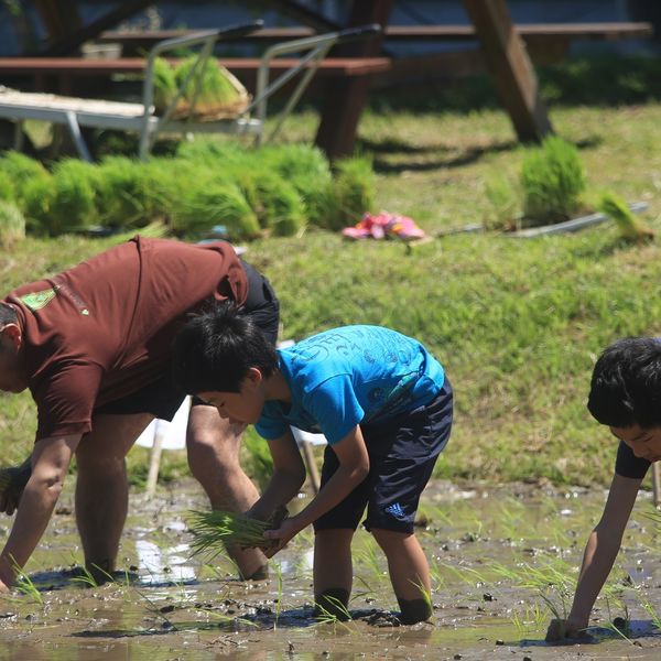 木更津で農業体験や田植えのことなら当店がおすすめです